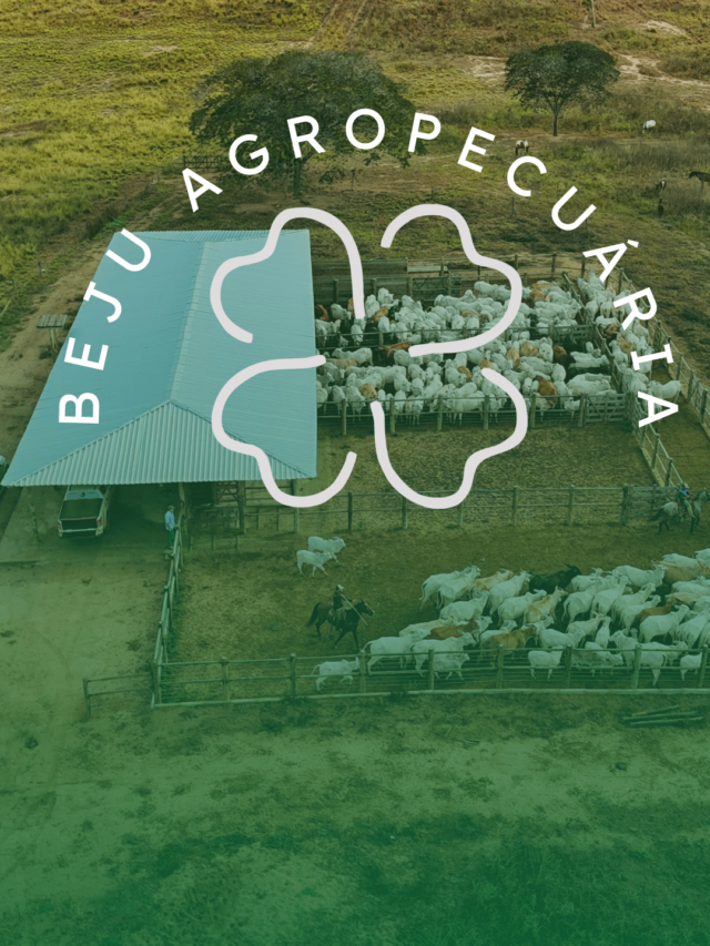 Beju Agropecuária 2025